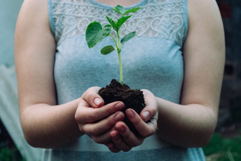Femeie ține în palme pământ pentru plante